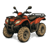 Buggy and Quad Rental