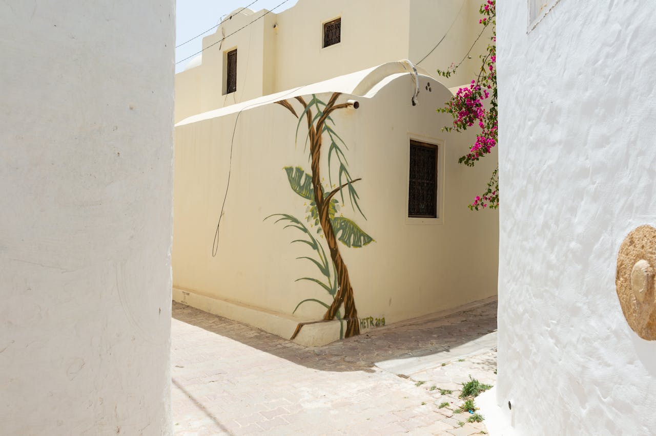 Ruelle à Djerba - Location de quad